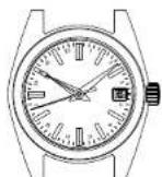 Grand Seiko 9S25 - How to use the 24-hour hand - 2