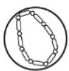 SEIKO 9F85 - Examples of common magnetic products that may affect watches - 9
