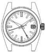 SEIKO 9F85 - How to use the 24-hour hand - 1