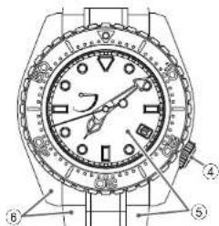 Grand Seiko 9RA5 - ○ Before diving - 2