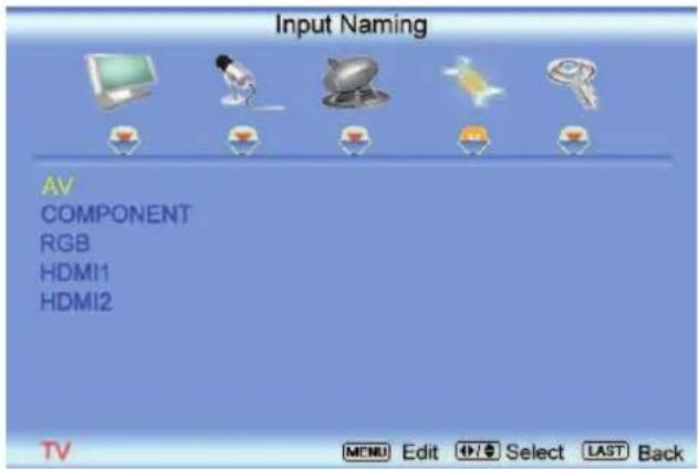 VIZIO VO22LHDTV10T - Input Naming - 1