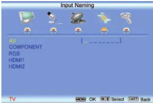 VIZIO VO22LHDTV10T - Input Naming - 2