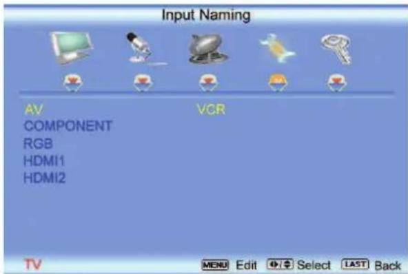 VIZIO VO22LHDTV10T - Input Naming - 3