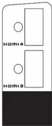 VIZIO VP423HDTV10A - Right-Side Panel Connection - 1