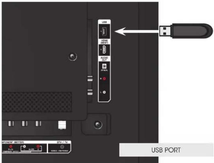 VIZIO E320-C0E - USING THE USB MEDIA PLAYER - 1