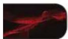 VIZIO XVT580CM - Important Safety Instructions - 2