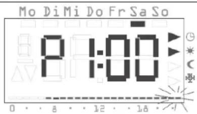 Mo DiMi Do Fr Sa So P 1:00