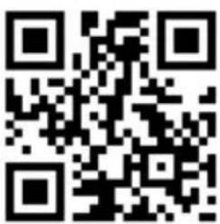 Deaf Bonce Black Hydra HDA-4.90 - INFORMATION ON DISPOSAL OF THE ELECTRICAL AND ELECTRONIC EQUIPMENT (FOR THE EUROPEAN COUNTRIES WITH SEPARATE WASTE COLLECTION) - 2