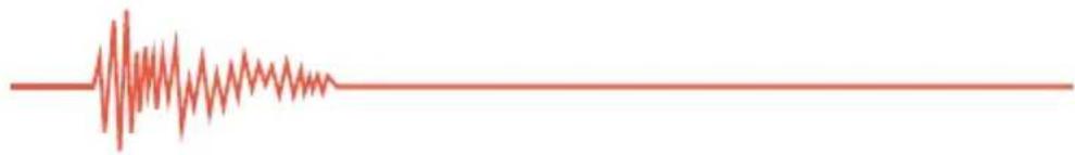 Polsen GPMK-22 - THANK YOU FOR CHOOSING POLSEN. - 1