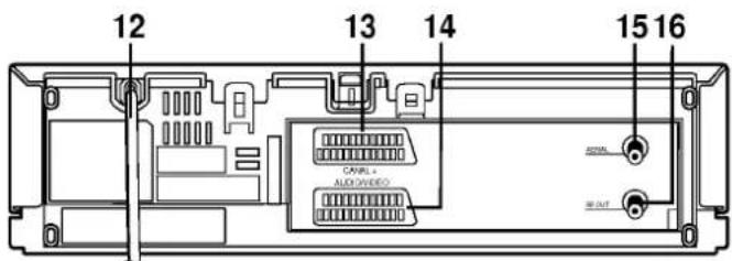 LG W424P - Rear View - 1