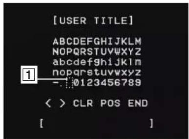 LG LVW900P - User title setting - 1