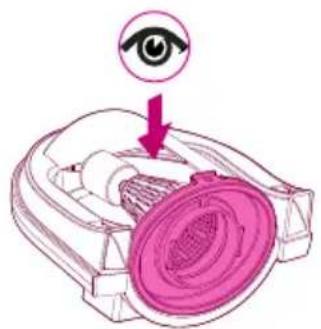 Diagram illustrating eye anatomy with a magnified view of the inner ear and eyelid, labeled in English.