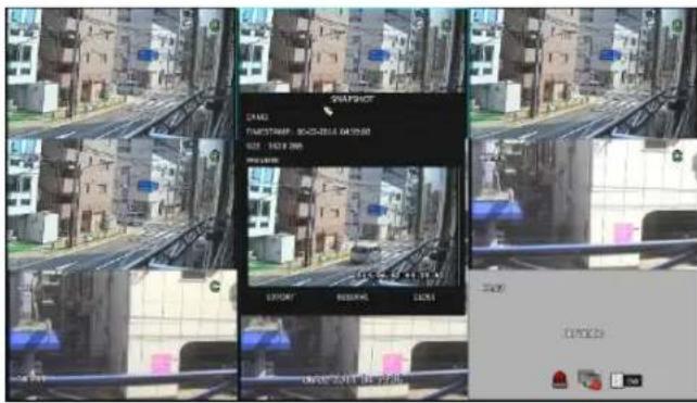 Ganz DR-8F45AT - Saving captured snapshots - 1