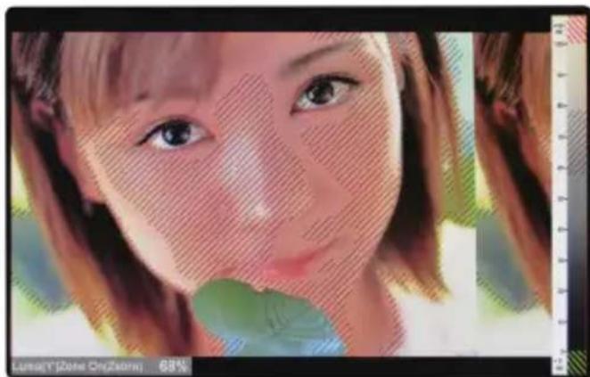 TVLogic RKM-270A - ● Zebra Pattern Type - 1