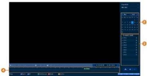 Lorex D441A62-G2DA - Playback - 1