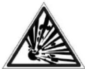 Rinnai RSEP1S25P - SAFETY ALERT: - 1