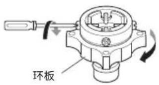 环板
