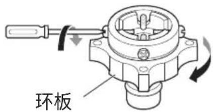 环板