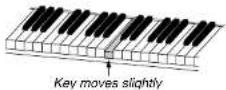 YAMAHA DC5XE3 - SmartKey™ Playback - 3