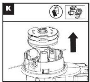 K