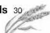 CUISINART CTG-14-LSR - Recipes - 3