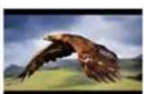 ViewZ VZ-215LED-HDR - PROFESSIONAL VIDEO MONITOR - 3