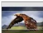 ViewZ VZ-215LED-HDR - PROFESSIONAL VIDEO MONITOR - 2