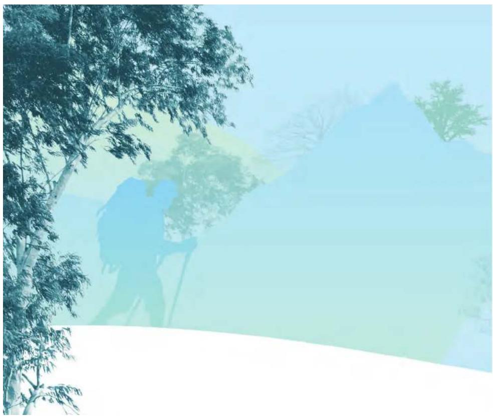 Silhouette of a hiker with backpack walking under trees against a misty mountain background (no text or symbols)
