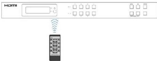 BZBGear BG-UM44-100M - IR Remote - 2