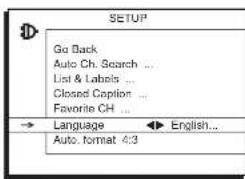 RCA 32V524T - Connections & Setup - 3