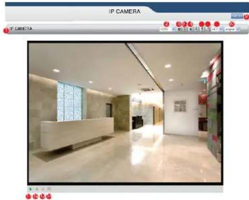 KT&C KNC-LNDI45B - Live View page - 1