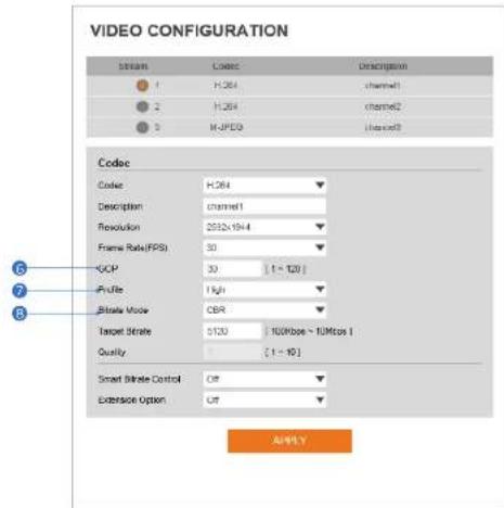 Digital Watchdog MegaPix DWC-MF5WI8TW - Video Configuration - 1