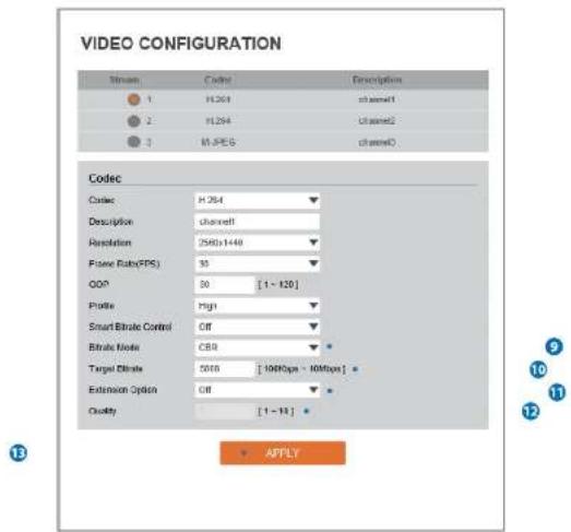 Digital Watchdog MegaPix CaaS DWC-MB44WI650C6 - Video Configuration - 1