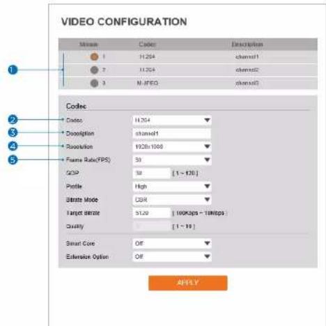 Digital Watchdog MegaPix DWC-MVA2WiAT - Video Configuration - 1
