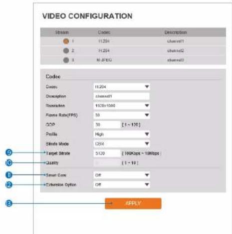 Digital Watchdog MegaPix DWC-MVA2WiAT - Video Configuration - 1