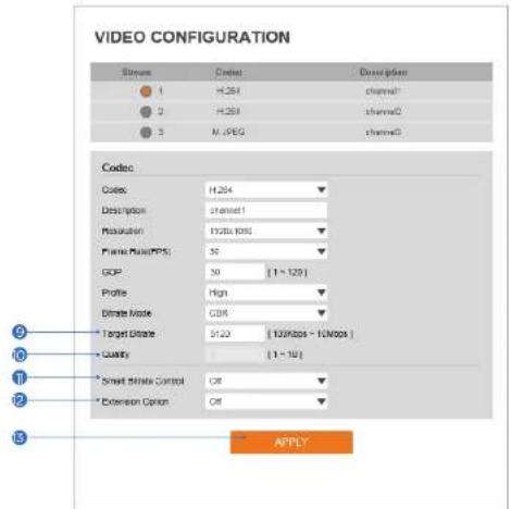 Digital Watchdog MegaPix DWC-MF2Wi4TW - Setup - Video & Audio Setup Video Configuration - 1