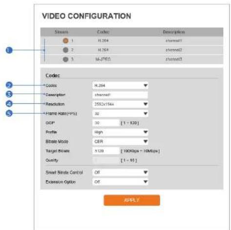 Digital Watchdog MegaPix IVA+ DWC-MPVA5WI28T - Video Configuration - 1