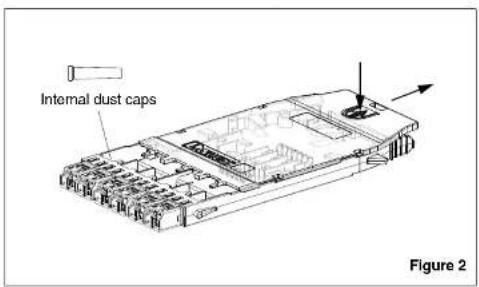 Internal dust caps Figure 2