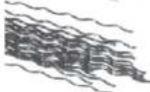BISSELL BGTS-19 - Scrubbing Brush Filaments - 2