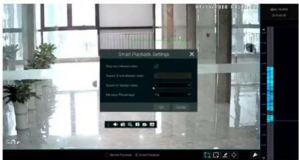 Speco Technologies H12HRN - Playback Interface Introduction - 2