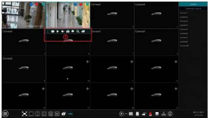 Speco Technologies H12HRN - Live View Introduction - 2