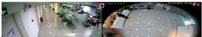 Speco Technologies H12HRN - Quick Sequence View - 1
