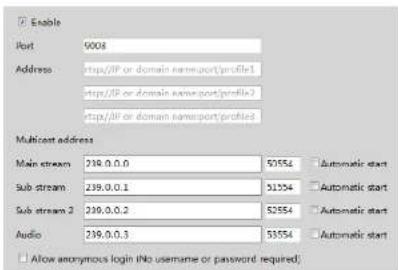 Speco Technologies O4VB1NG - RTSP - 1