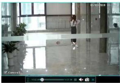 Speco Technologies N8NRP - Instant Playback - 1