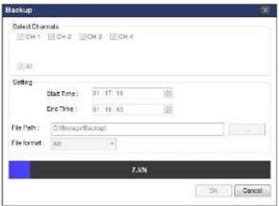 Speco Technologies ZIPT84B2 - 7-8-6. AVI Backup during Playback - 5