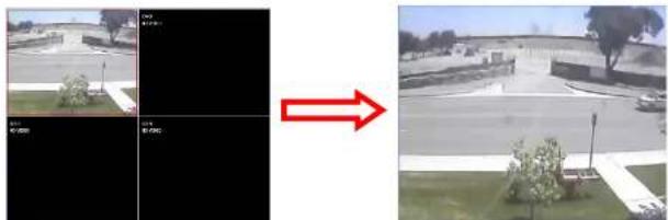 Speco Technologies ZIPT84B2 - 7-8-3. Still-image Capture During Live - 1