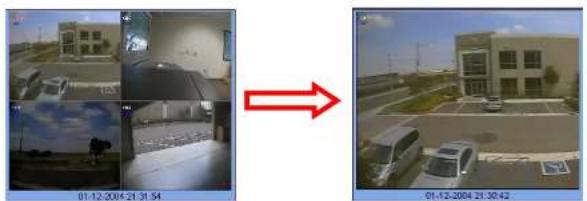 Speco Technologies DVR82HD - 8-8-3. Still-image Capture during Live - 1