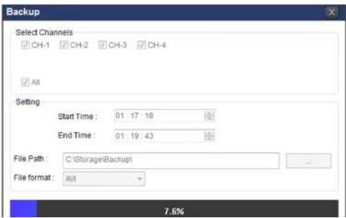 Speco Technologies ZIPL4D1 - 7-8-6. AVI Backup during Playback - 4
