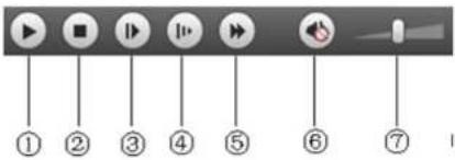Speco Technologies O2PH2 - Play Controls - 1