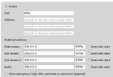 Speco Technologies O4T7M - RTSP - 1